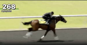 2025 Filly by Street Sense/Pizzazz works out (video by OBS)